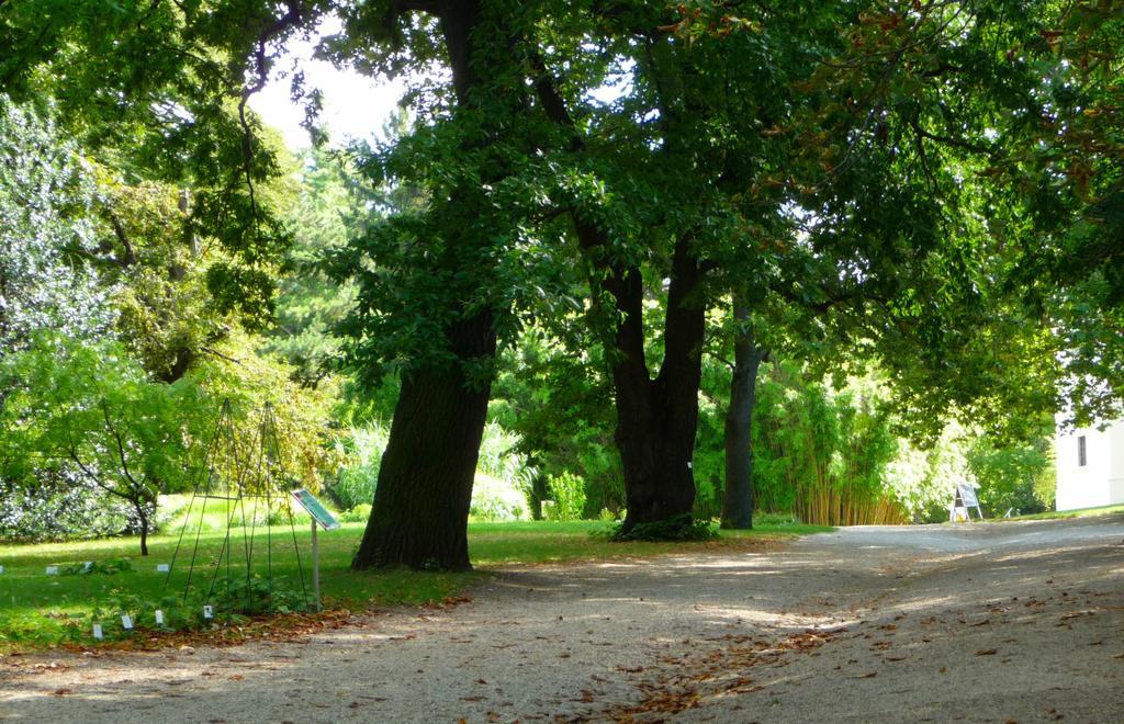 Streetview Wien - Premium Apartment Beim Belvedere Dış mekan fotoğraf